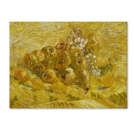 Van Gogh 'Quinces Lemons Pears And Grapes' Canvas Art,14x19